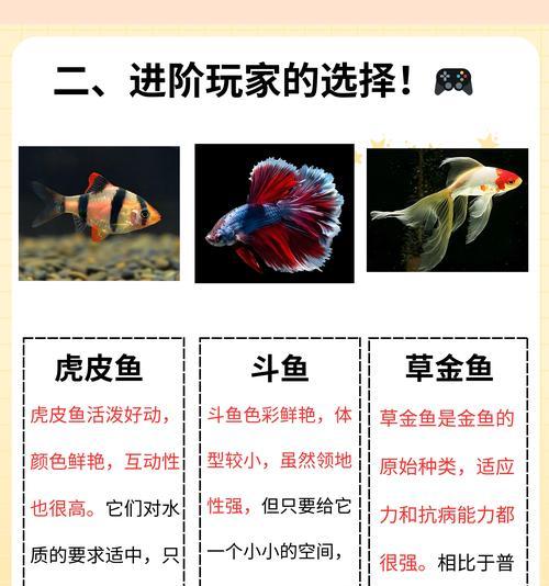 喂鱼时应该养什么植物？这些植物对鱼儿有何益处？