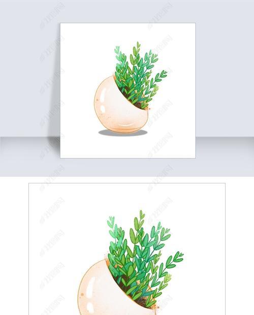 小清新植物保存多久不会变质？保存时的正确方法是什么？