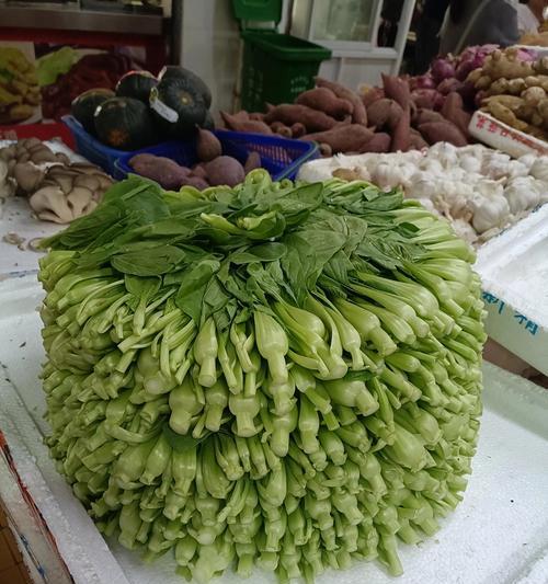 植物重叠放置的正确方法是什么？