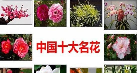 种植特色花卉需要哪些土地性质？土地性质对花卉种植有何影响？