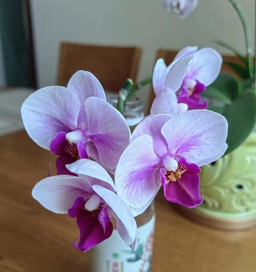 鲜花玫瑰花单枝怎么养护？养护过程中需要注意什么？