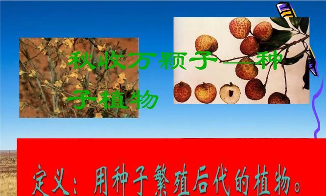 植物为何会产生种子？种子对植物繁衍有何重要性？