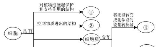 植物细胞结构是怎样的？包含哪些主要部分？