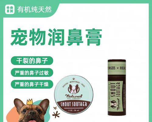 狗狗对哪些植物敏感？如何避免宠物误食？