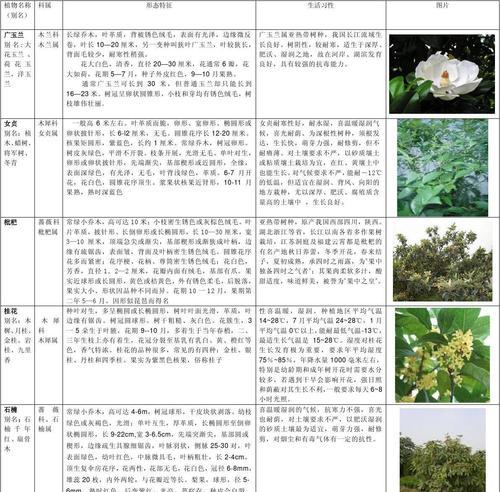 致命常见植物的识别方法是什么？