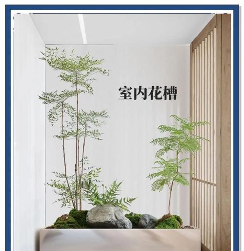 室内植物造景常用的植物有哪些？