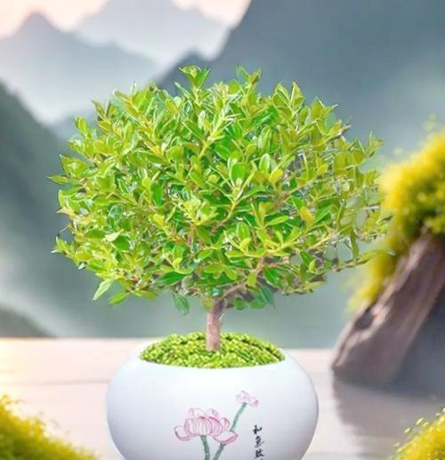 迷你盆栽种植技巧是什么？如何保持其健康成长？