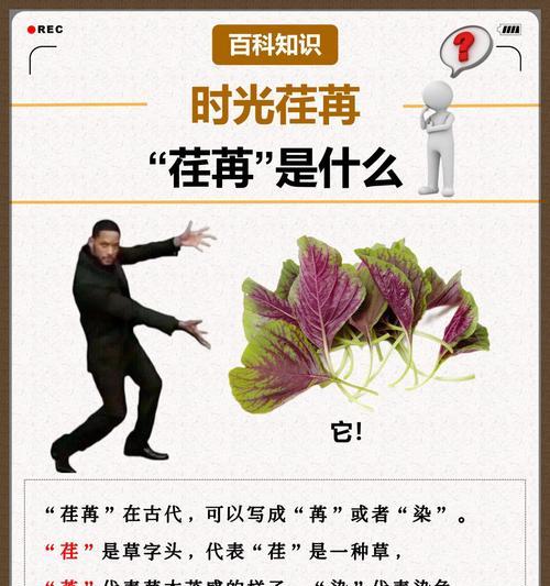什么植物可以形成酶？这些植物在生物工程中有何应用？