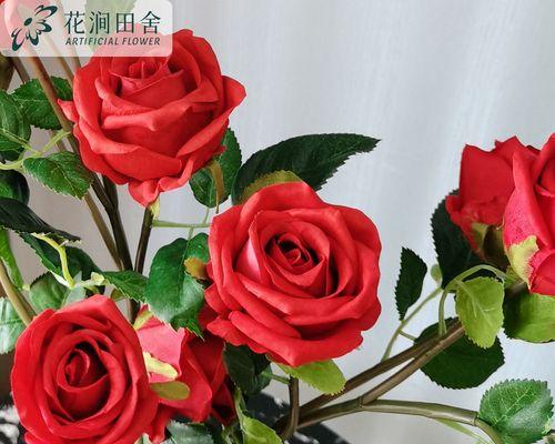 玫瑰花夹子红色有何寓意？它在花艺中通常用来表达什么？