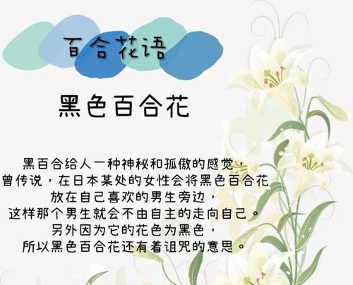 风中百合三朵金花的含义是什么？象征着什么？