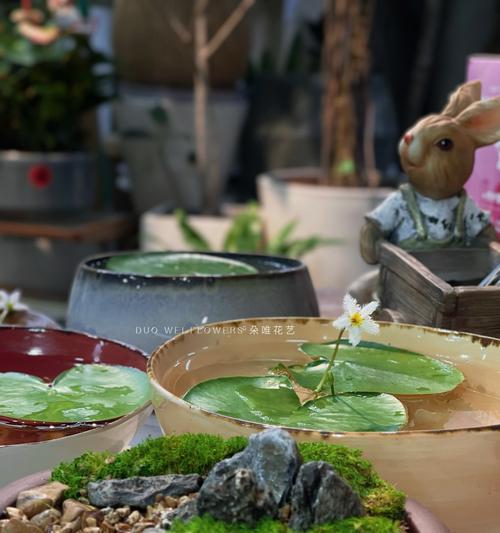 “农药黑暗料理”是什么意思？这个词汇的含义是什么？