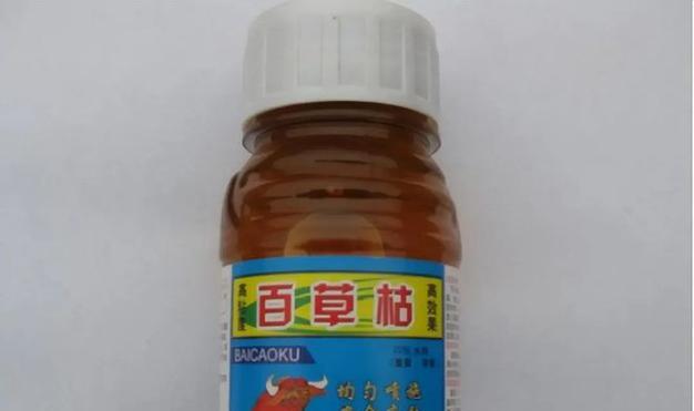植物打了百草枯应该怎么办？如何处理打了百草枯的植物？