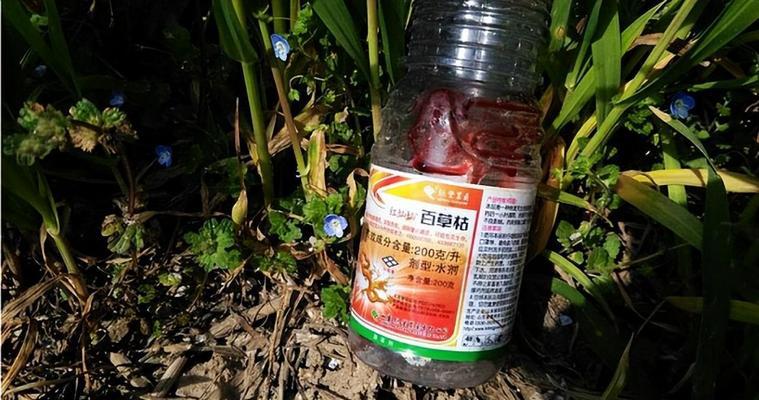 植物打了百草枯应该怎么办？如何处理打了百草枯的植物？