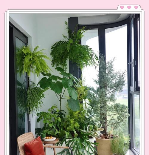 搬新家适合送朋友什么植物？