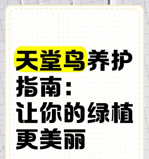 户外微型植物的养护技巧是什么？