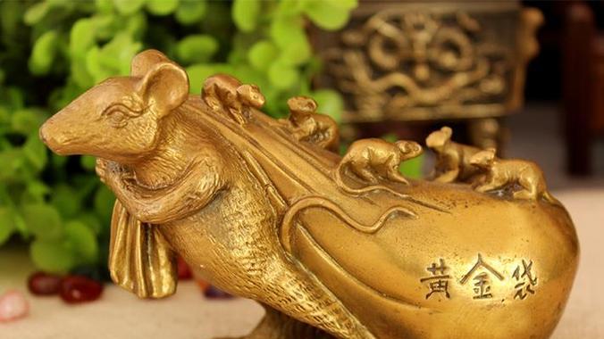 属鼠家里放什么植物好？风水上有哪些讲究？