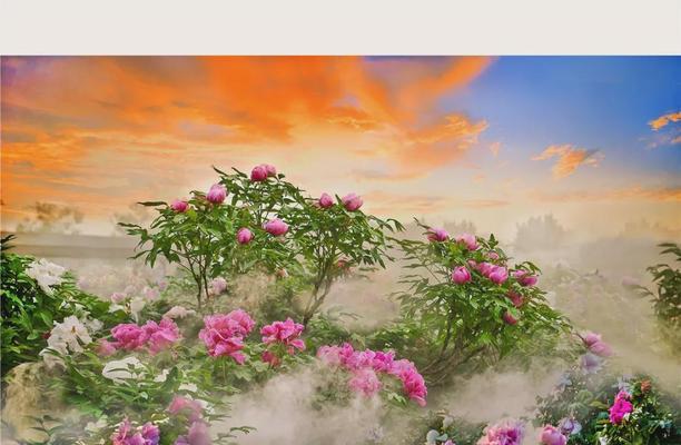 盛世花卉有哪些著名作品？它们的特色是什么？