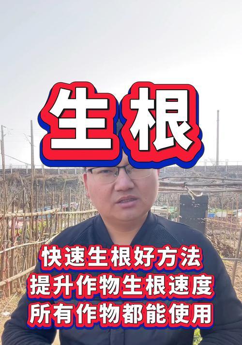 怎么让植物快速生根？有哪些促进植物生根的技巧？