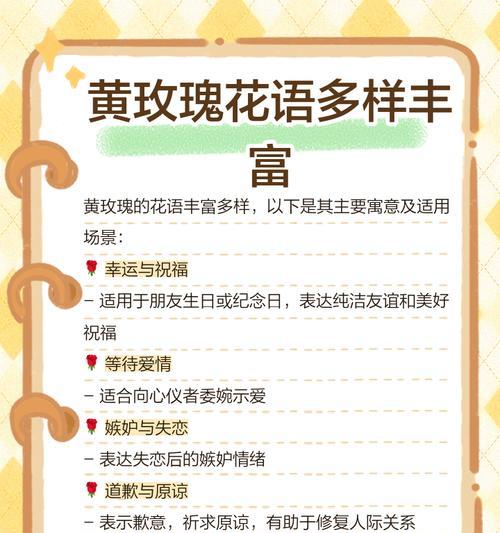 香槟黄玫瑰花语是什么？香槟黄玫瑰代表了什么情感？