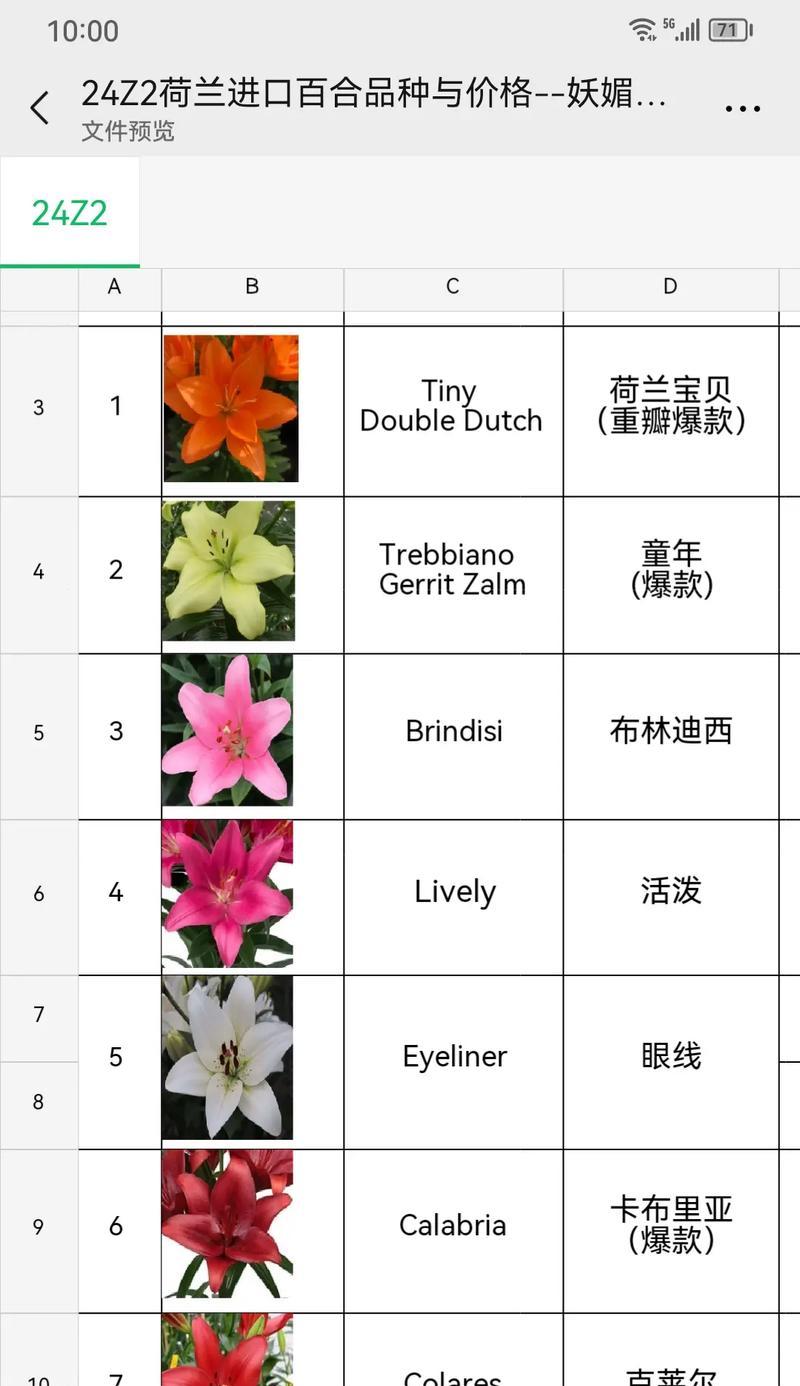 百合种球最佳种植时间是什么时候？种植过程中应注意什么？