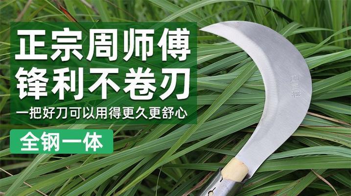 割水稻弯镰刀的用途是什么？这种工具的历史和文化意义是什么？