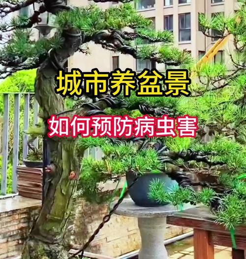 盆栽植物出现病害怎么办？
