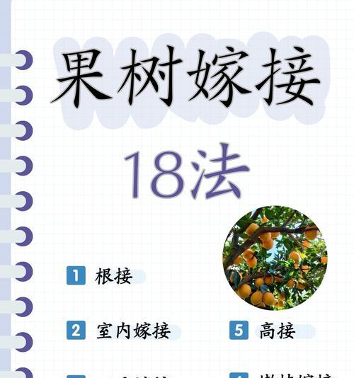 核桃树嫁接后管理方法是什么？