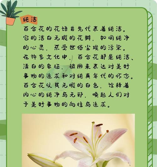 一枝百合花表达的迷恋是什么？