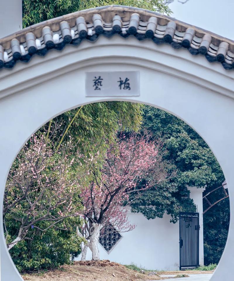 合肥植物园有哪些特色植物？它们的生长环境如何？