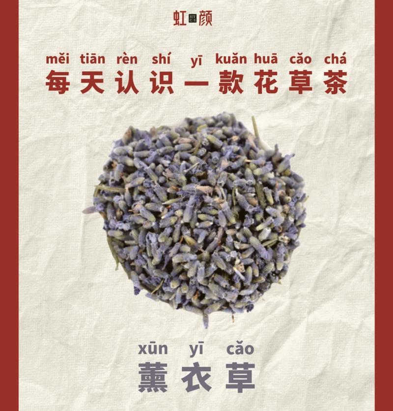 针状类的花卉有哪些特点？如何养护？