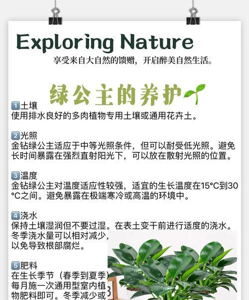 有哪些植物被认为可以防小人？它们的寓意和作用是什么？