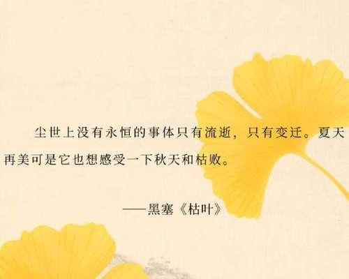 看到百合联想到“冷清秋”是什么意思？这种联想有何文化背景？