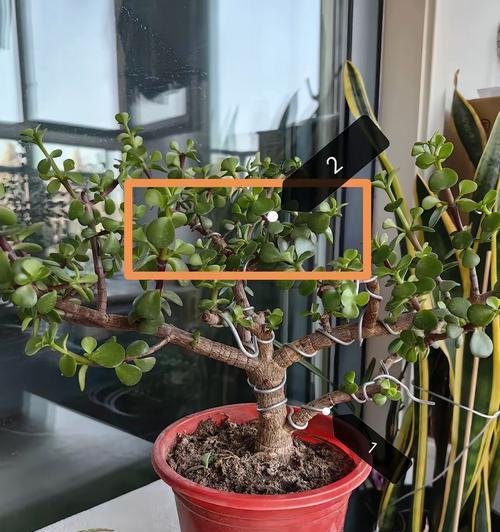 如何让植物的叶子产生自然晃动效果？需要什么条件？