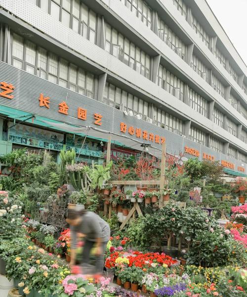 杜村花卉市场在什么地方？如何找到当地知名的花卉市场？