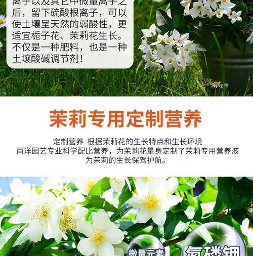 无花植物肥料有哪些种类？如何选择合适的肥料？