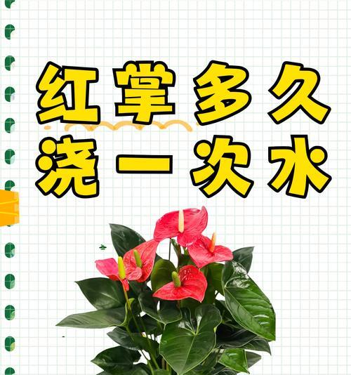 瓠子属于哪种花卉？它的特点和养护方法是什么？