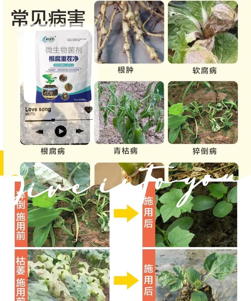 花卉土壤杀菌药哪些效果好？如何正确使用土壤杀菌剂？