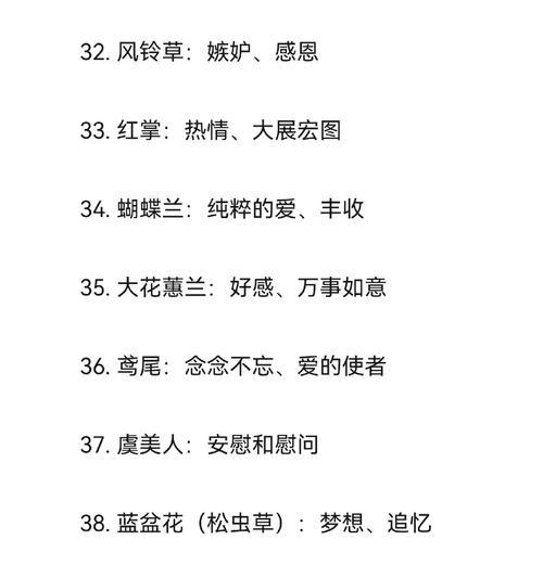 黑白色玫瑰的组合有何含义？它在花语中传递了什么信息？