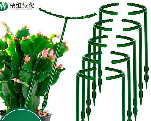 花卉固定架子的正确名称是什么？如何选择合适的花卉架子？