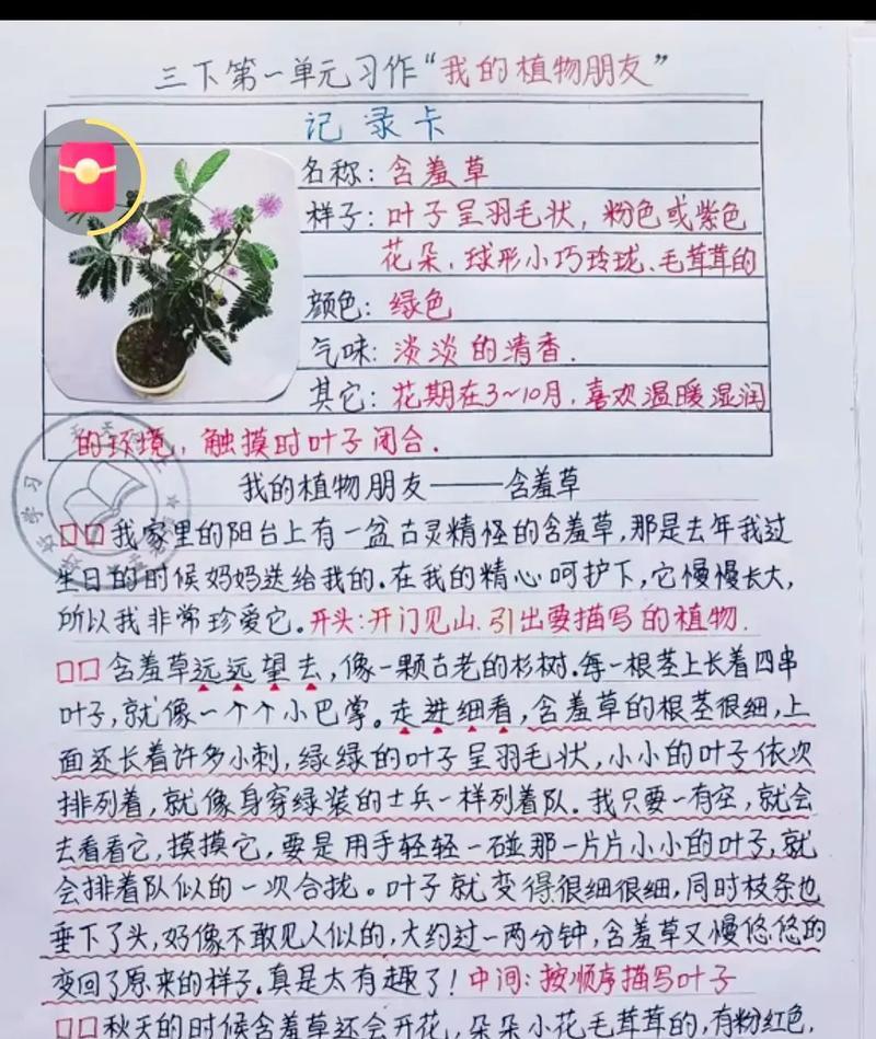 制作植物介绍卡片的步骤是什么？植物介绍卡片有哪些设计要点？