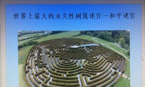 花卉种植的迷宫叫什么？如何设计一个花卉迷宫？