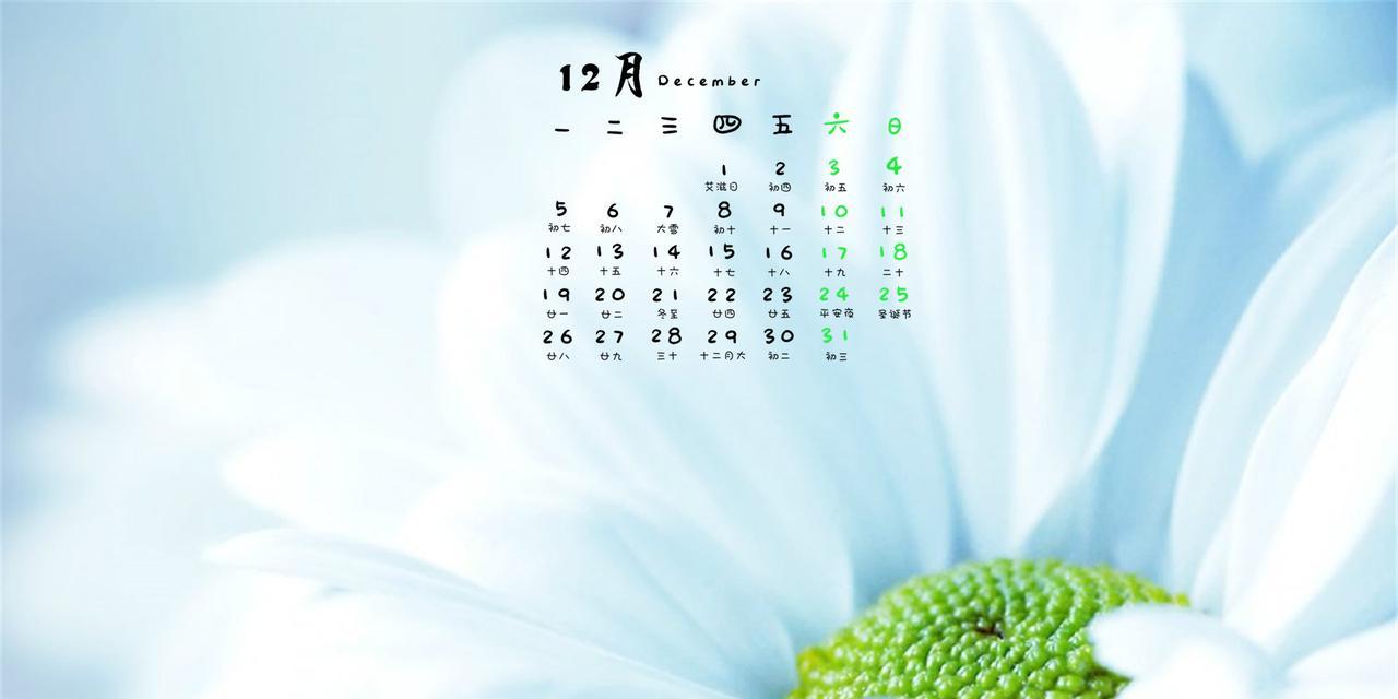 花卉杯12x10规格代表什么？购买时应注意什么？