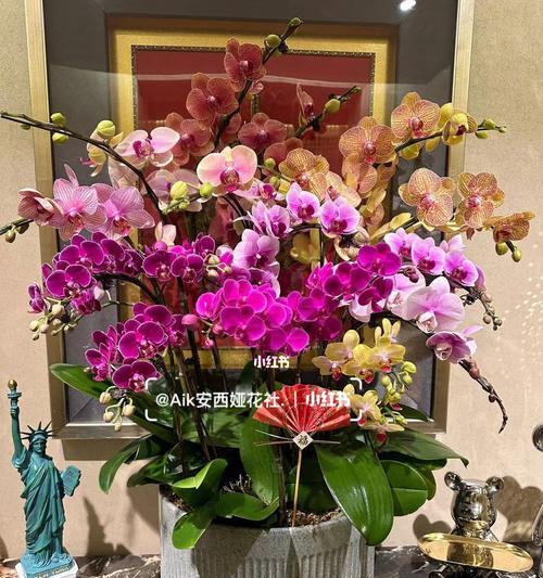送盆栽花给女生有何寓意？盆栽花在礼物中象征着什么？