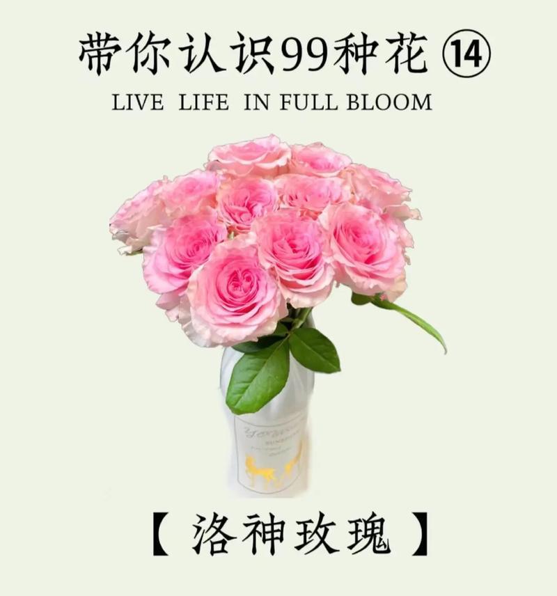 考试结束后送玫瑰花有何深意？
