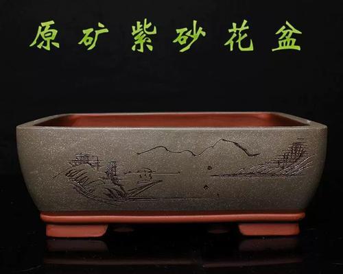 瓷器花盆适合哪些室内盆栽花卉？
