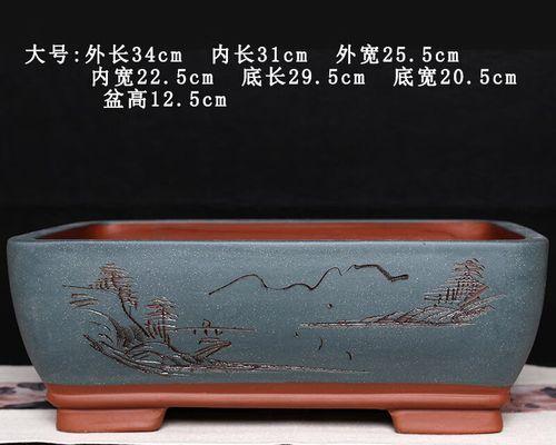 瓷器花盆适合哪些室内盆栽花卉？