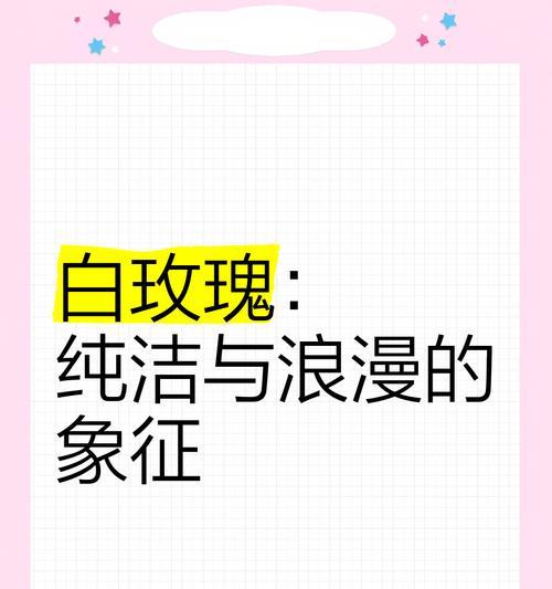 白玫瑰的这种特殊处理方式有何寓意？