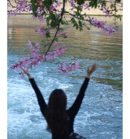 玫瑰花象征爱情还是野花？玫瑰花作为野花的含义是什么？
