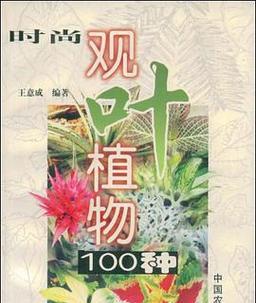 灌叶植物有哪些种类？它们有什么共同特点？