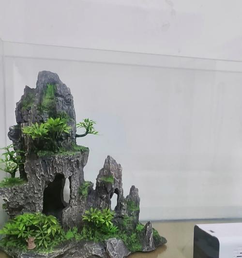 假山旁边应该种植哪些植物来增添美感？
